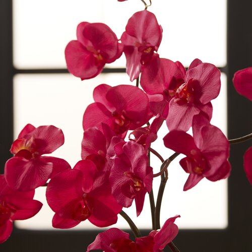 World Menagerie Orchids Floral Arrangement In Vase & Reviews | Wayfair